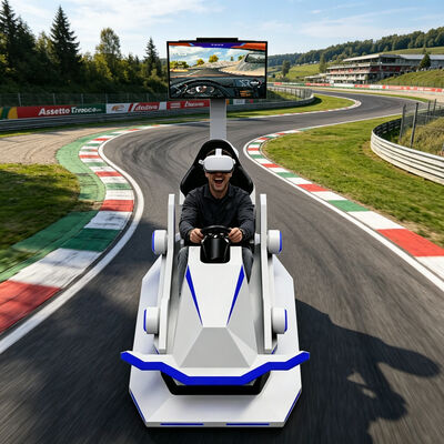 Real Feel 9D Realidad Virtual VR Deportes de carreras de autos al aire libre Simulador Mall Game Center